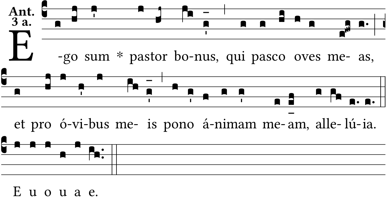 Ego Sum Pastor Bonus, Alleluia (latim), Católicas