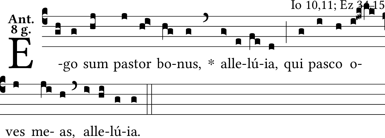 Ego Sum Pastor Bonus, Alleluia (latim), Católicas